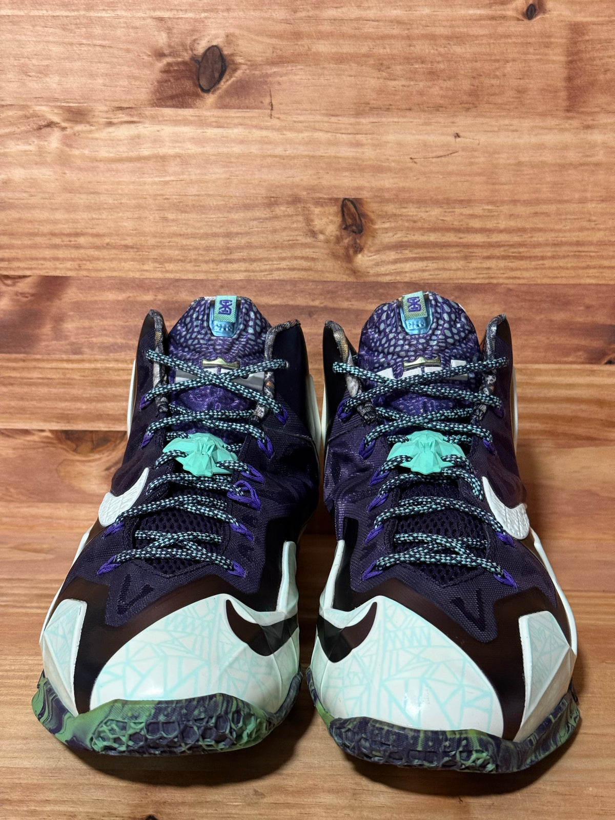 Nike LeBron 11 NOLA Gumbo League Gator King