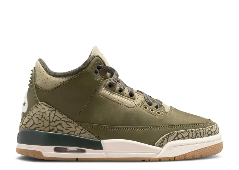 Air Jordan 3 Retro GS Family Affair