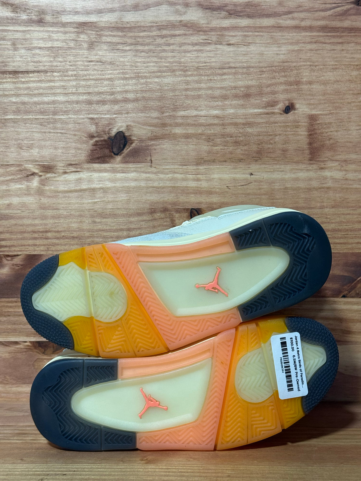 Jordan 4 Retro Birds of Paradise (Women's)