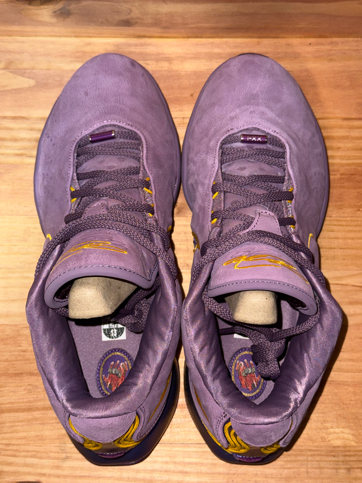 Nike LeBron 21 Purple Rain