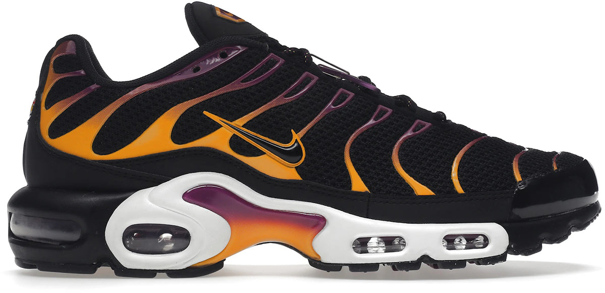 Nike Air Max Plus University Gold Viotech Purple - Size 9.5