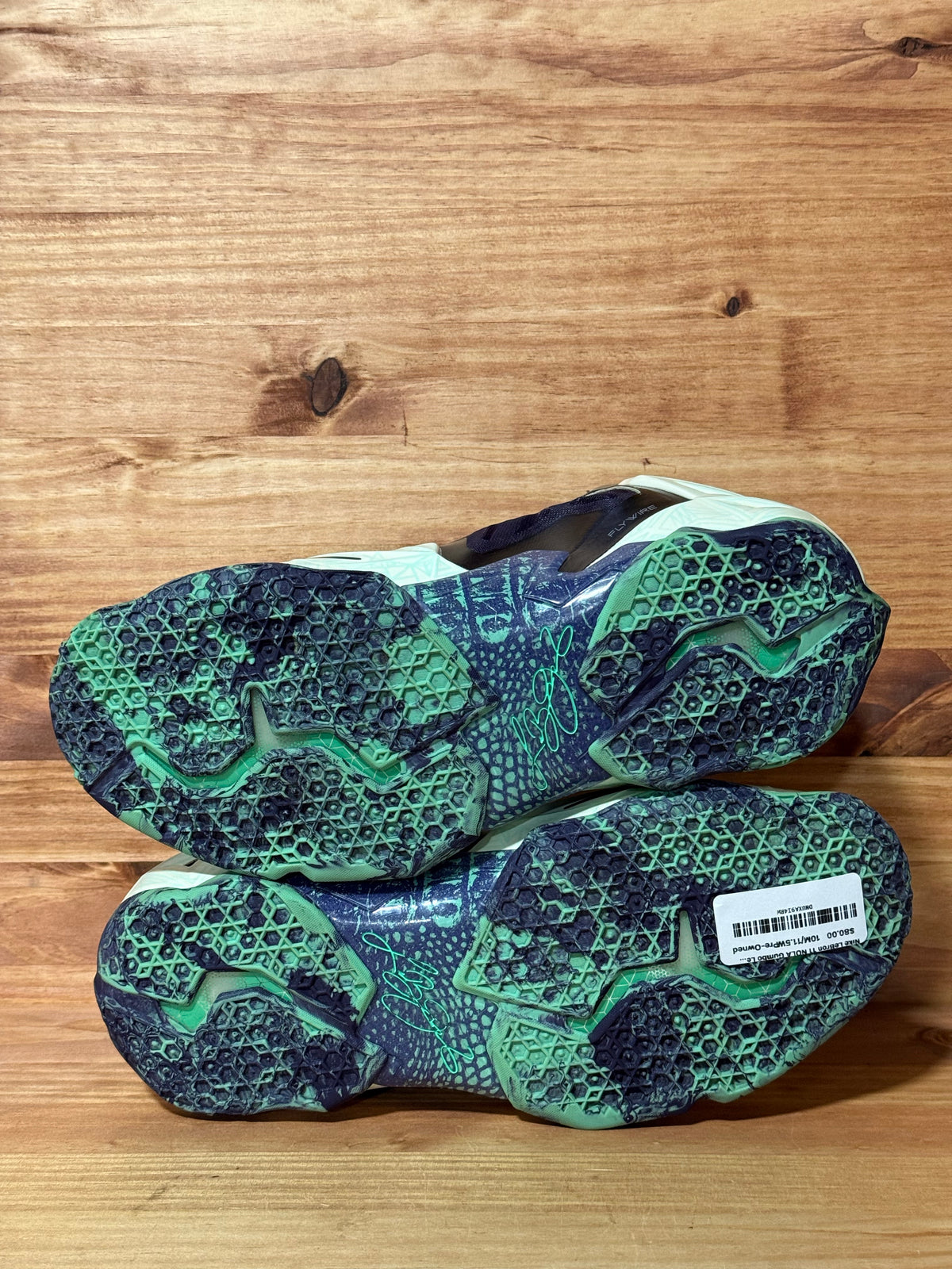 Nike LeBron 11 NOLA Gumbo League Gator King
